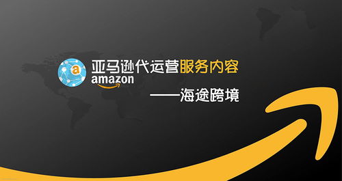 海途跨境亚马逊代运营 一站式数字文化创意内容应用服务详解